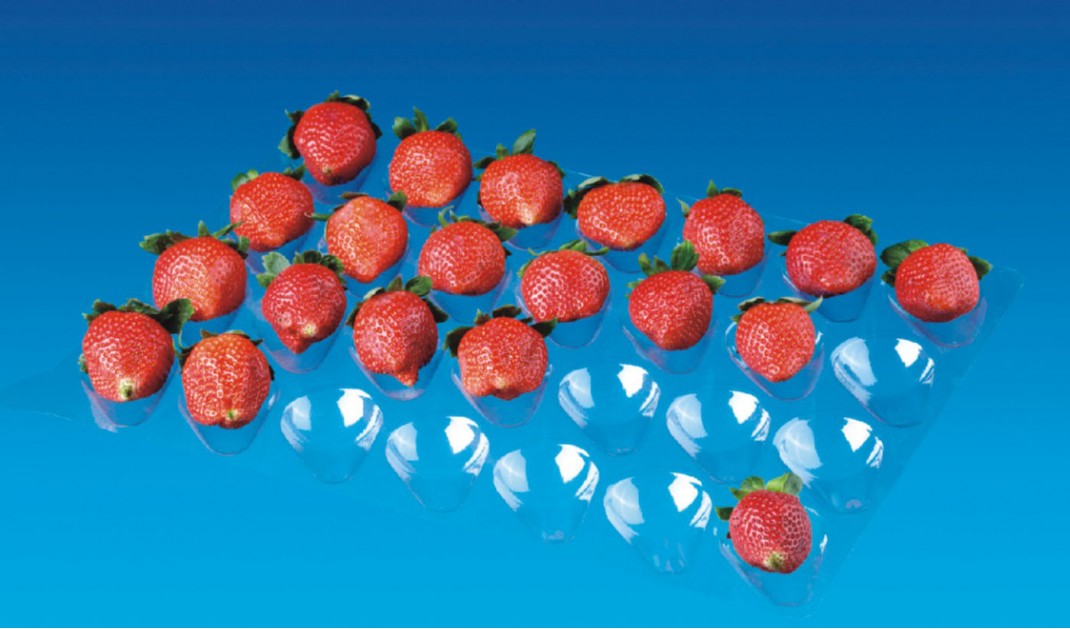 GL-28 Strawberry Insert
