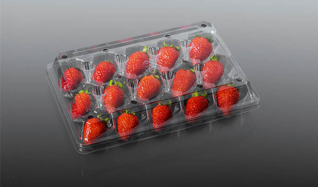 PET Vegetable & Fruit Packaging